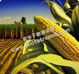 打造领先的体育信息服务平台 - 华体会体育