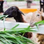 探索賽事精彩 - 华体会体育